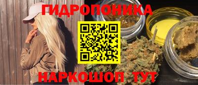 трава Кимры