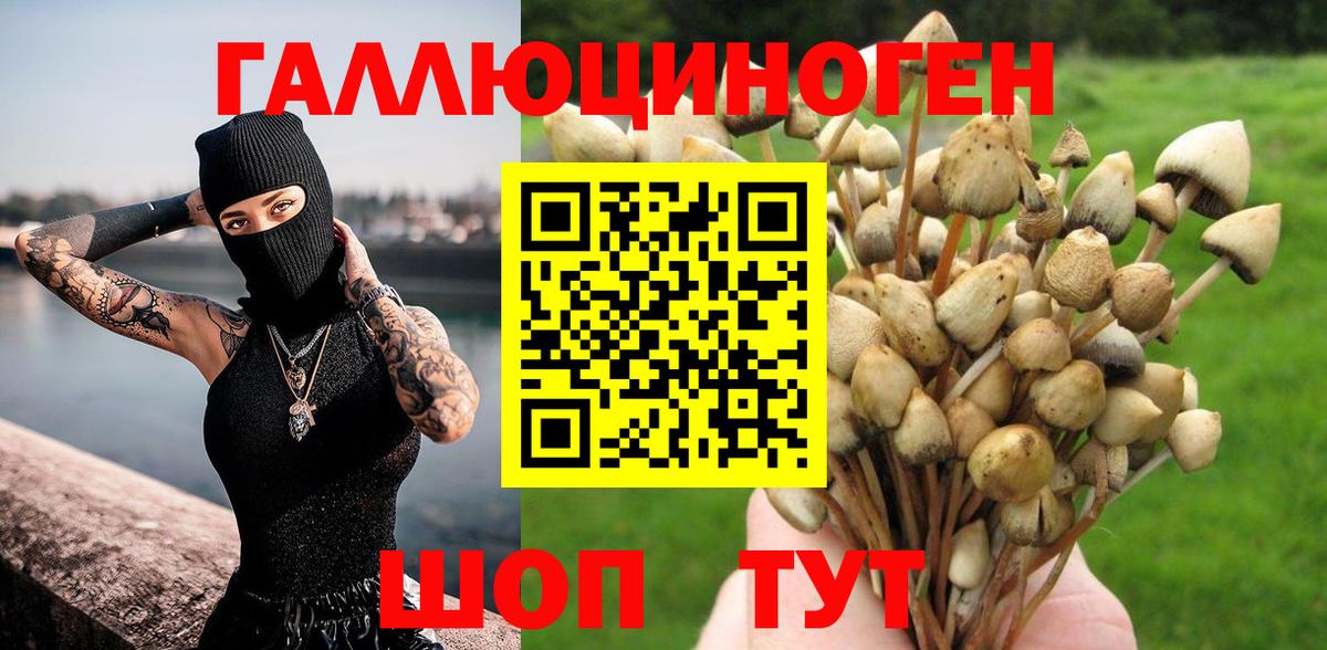Бошки Шишки  ГАШИШ  LSD-25  Дивногорск  Вход с VPN  Меф МЯУ МЯУ  
