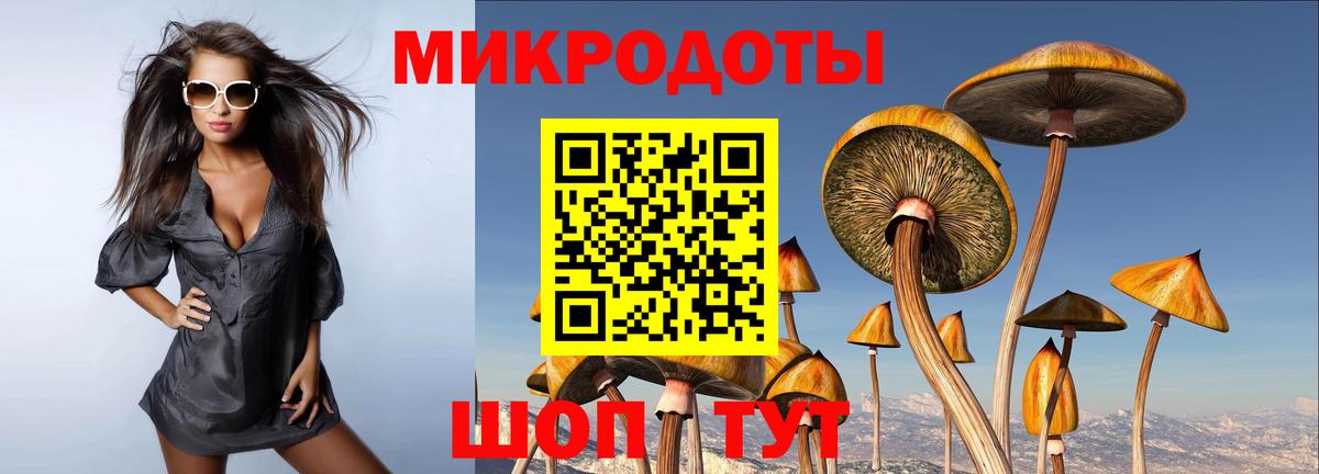 где можно купить наркотик  Галлюциногенные грибы мухоморы  Вход с VPN  Дивногорск 
